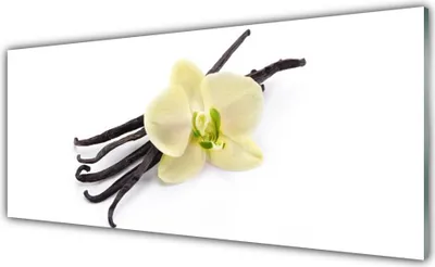 Produktbild von Acrylglasbilder 125x50 Wandbild Druck Blume Pflanzen
