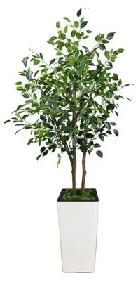 Immagine prodotto di Pianta di ficus artificiale, foglie in seta dall'aspetto realistico, ideale per decorare la casa e l'ufficio, 5 piedi - 150 cm