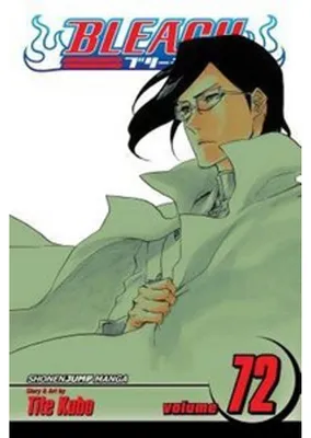 Obrázok produktu pre Bleach, Vol. 72