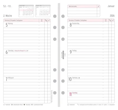Image de AVERY ZWECKFORM 50256 Planification hebdomadaire Midi 96x172mm 1W/2S