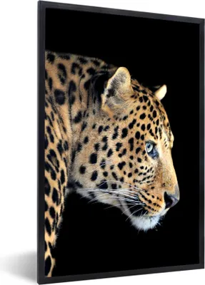 Produktbild von MuchoWow® Gerahmtes Poster Leopard - Schwarz - Pelz 60x90 cm - Poster mit Schwarzem Bilderrahmen Wandposter Rahmen Foto Bilder - Kunst