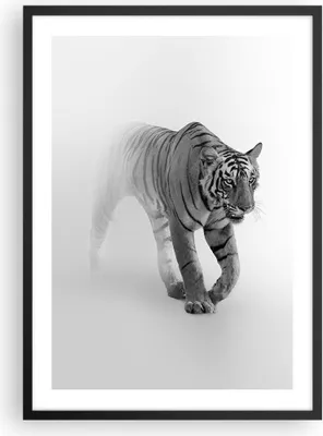 Produktbild von Gerahmtes Poster - Schwarzer Rahmen - Tiger Monochrom Porträt - 50x70 cm - Wand Bild - Wanddeko - Wandbilder - Kunstposter - Wandposter - Bilderrahmen - Bilder - Kunstdruck - P2BPA50x70-4626