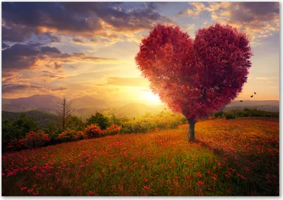 Produktbild von Tulup® Leinwandbild - 100x70 cm - Wandkunst - Drucke auf Leinwand - Leinwanddruck  - Landschaften - Rot - Baum Feld Herz
