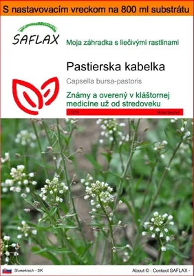 Obrázok produktu pre SAFLAX Garden in the bag - pastierska kabelka - Capsella bursa-pastoris - 1000 Semená - S pestovateľským substrátom v praktickom samostaviteľnom vrecku