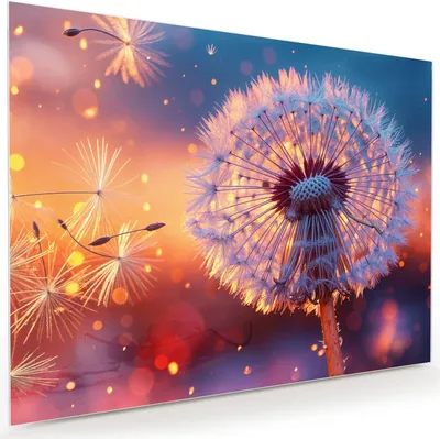 Produktbild von Glasbild 120x90cm in XXL für Wohnzimmer, Schlafzimmer Motiv Pusteblume Sonnenuntergang
