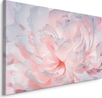 Produktbild von Fabelhafte Canvas LEINWAND BILDER 120x80 cm XXL Kunstdruck Pfingstrosen Blumen Natur