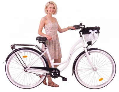 Produktbild von Dallas Bike Damenfahrrad 26 Zoll - Mit Weidenkorb - 1-Gang Rücktritt - Rahmen M 17" - Weiß-Schwarz