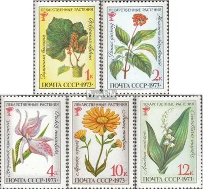 Produktbild von Briefmarken Sowjetunion 1973 Mi 4156-4160 (kompl.Ausg.) gestempelt Heilpflanzen