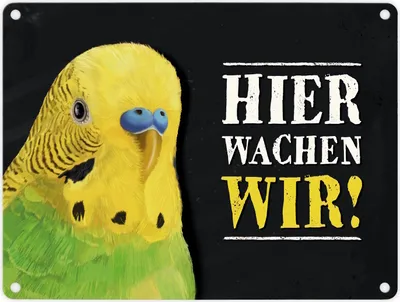 Produktbild von Metallschild mit Wellensittich grün Motiv und Spruch: Hier wachen wir!