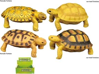 Obrázok produktu pre Figúrka korytnačky 4 Druhy 9 Cm