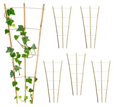 Produktbild von Bambus Rankgitter 75 x 35 cm Natur - 6er Set - Kletterhilfe aus Holz für Rankpflanzen