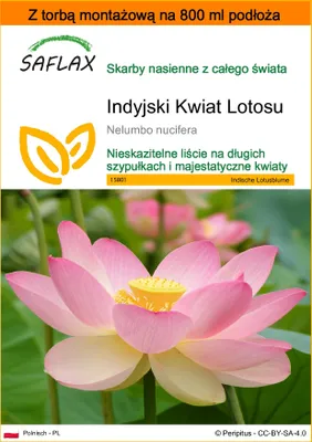 Zdjęcie produktu dla SAFLAX - Garden in the bag - Indyjski Kwiat Lotosu - 8 Nasiona - Z podłożem uprawowym w praktycznej, samorozkładającej się torbie - Nelumbo nucifera