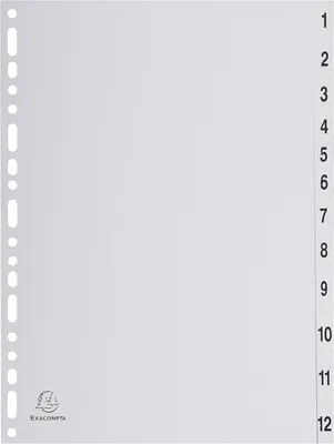 Immagine prodotto di Exacompta 1912E Ordnerregister Vollformat 1-12 grau