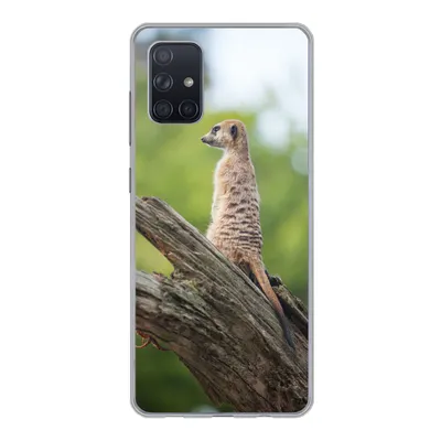 Produktbild von MuchoWow® Handyhülle Schutzhülle Hülle für Samsung Galaxy A51 Erdmännchen - Ast - Baum Silikon Softcase Handy Hülle - Schutzabdeckung