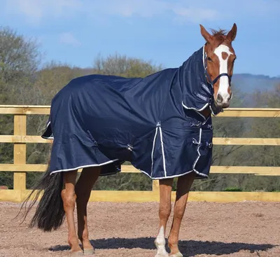 Productafbeelding van Paard Opkomst Tapijten - Paardendekens - Paard Beschermen - Ripstop Waterdicht - 5'3"-7'0" - Navy