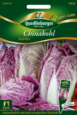 Produktbild von Chinakohl Scarvita F1 | Chinakohlsamen von Quedlinburger