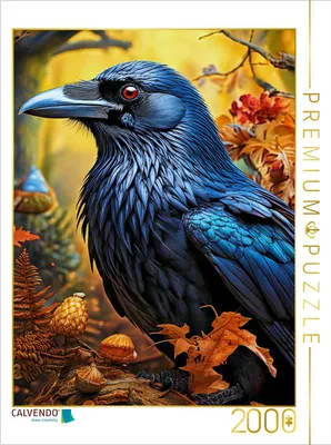 Produktbild von CALVENDO Puzzle Kolkrabe | 2000 Teile Lege-Größe 90x67cm Foto-Puzzle für glückliche Stunden