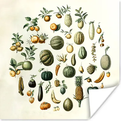 Produktbild von MuchoWow® Poster Gemüse - Obst - Jahrgang 50x50 cm - Wohnzimmerdekoration