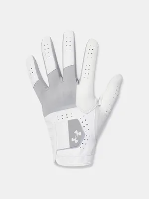 Produktbild von Under Armour Herren Glide Iso-Chill Pro Handschuhe 6005704-035__LLG