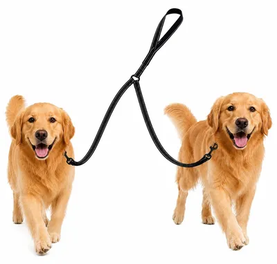 Produktbild von Doppelleine für Hunde 154,9 cm mit Verwicklungsfreier Verschluss