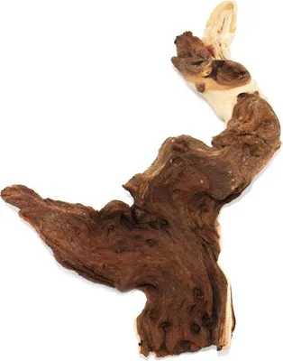 Zdjęcie produktu dla mopanie rozmiar korzenia m 18-22 cm