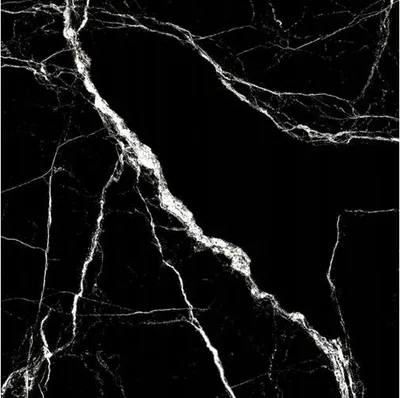 A close-up of a black marble tile with white veining.