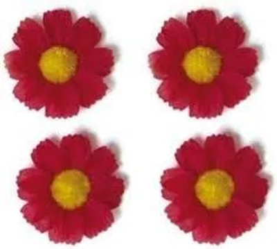 Produktbild von Basilikumblume 4 Magrietjes Red 50188