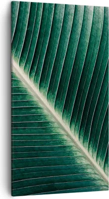 Produktbild von Bild auf Leinwand - Leinwandbild - Einteilig - Grün Blatt Tropisch - 45x80cm - Wand Bild - Wanddeko - Wandbilder - Leinwanddruck - Bilder - Wanddekoration - Leinwand bilder - Wandbild - PA45x80-4126