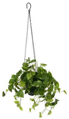 Obrázok produktu pre Omgoods - Umelá rastlina Pothos, závesný kvetináč - plast a kov, výška 60 cm