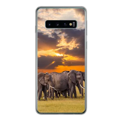 Produktbild von MuchoWow® Handyhülle Schutzhülle Hülle für Samsung Galaxy S10 Elefant - Tiere - Gras - Sonnenuntergang - Natur Silikon Softcase Handy Hülle - Handytasche