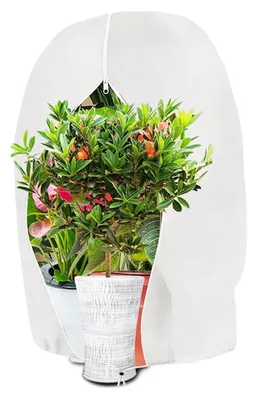 Produktbild von Winterschutz für Pflanzen Frostschutz Schutzhülle 80x100cm Weiß Vlies mit Zugband