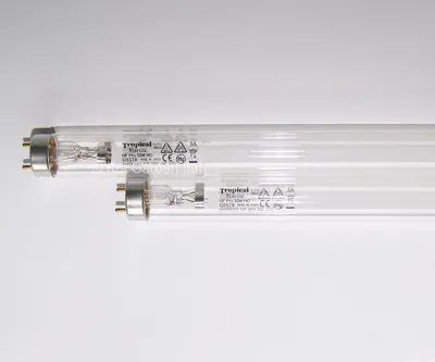 Image de Lampe de rechange TMC 55 W Pro Clear