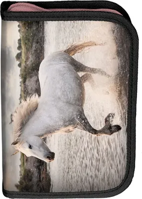 Zdjęcie produktu dla PASO Piórnik szkolny z wyposażeniem – PFERD HORSE