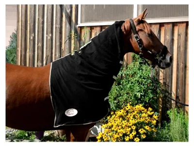 Produktbild von Fleece Halsdecke für Warmblut Pferde in Schwarz