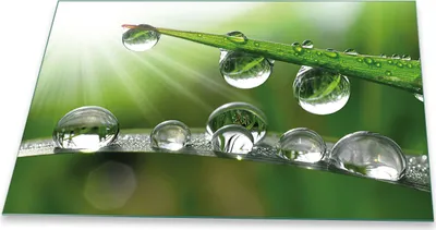 Produktbild von Herdabdeckplatte Glaskeramikkochfeld-Abdeckung Spritzschutz Glas Universal 80x52 Natur Grün