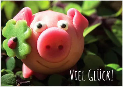Produktbild von Friendly Fox Viel Glück Karte, 1x DIN A6 Klappkarte Viel Erfolg, Mutmacherkarte für Abi Abschluss Prüfung, Grußkarte mit Umschlag