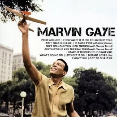 Produktbild von Gaye,Marvin-Icon