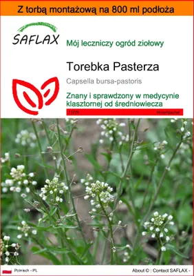 Zdjęcie produktu dla SAFLAX - Garden in the bag - Torebka Pasterza - 1000 Nasiona - Z podłożem uprawowym w praktycznej, samorozkładającej się torbie - Capsella bursa-pastoris
