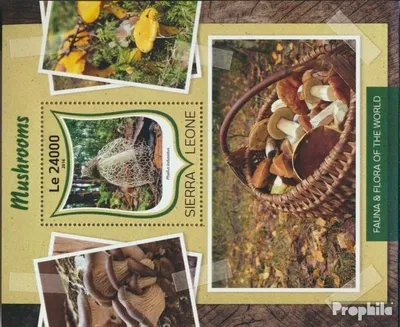 Produktbild von Briefmarken Sierra Leone 2016 Mi Block 1035 (kompl. Ausg.) postfrisch Pilze