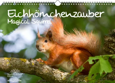 Produktbild von Eichhörnchenzauber DIN A3 Immerwährender Kalender Eichhörnchen - Seelenzauber