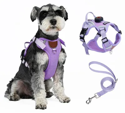 Produktbild von Katzengeschirr und Leine Set mit AirTag-Halter, ausbruchsicher, atmungsaktiv, reflektierend, Z Purple XL