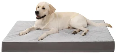 Immagine prodotto di Letto ortopedico per cani, taglia XXL, 119x73x10 cm, grigio, lavabile, reversibile, imbottitura in schiuma viscoelastica