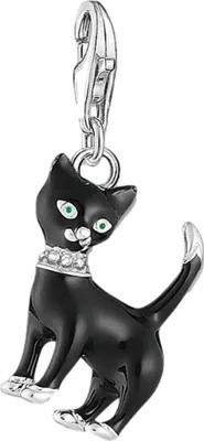 Produktbild von Thomas Sabo Charm-Anhänger "Katze Schwarz" 1725-041-11