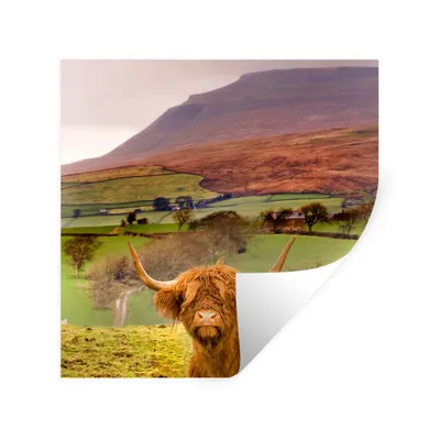 Produktbild von MuchoWow® Wandtattoo Wandsticker Wandaufkleber Schottischer Highlander - Berg - Herbst 30x30 cm Selbstklebend und Repositionierbar - Repositionierbar - Wasser abweisend