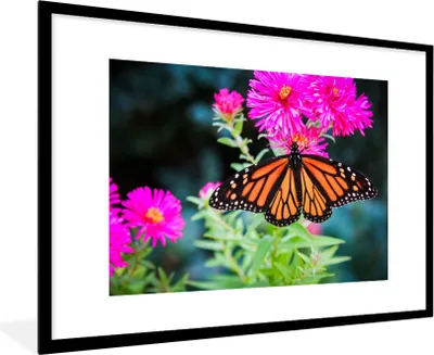 Produktbild von MuchoWow® Gerahmtes Poster Schmetterling - Botanisch - Blume 90x60 cm - Poster mit Schwarzem Bilderrahmen Wandposter Rahmen Foto Bilder - Wanddekoration - Fotos