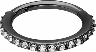 Produktbild von Ohrpiercing, Nasenpiercing, Septum Piercing Chirurgenstahl Segmentring Clicker EINGEFASSTE KRISTALLE  Schwarz Innendurchmesser: 9 mm