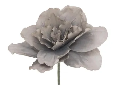 Imagen del producto de EUROPALMS, gran flor artificial, color beige grisáceo, 80 cm (82531066)