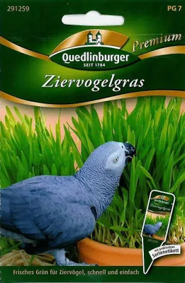 Produktbild von Quedlinburger Saatgut - Ziervogelgras - Samen - 291259