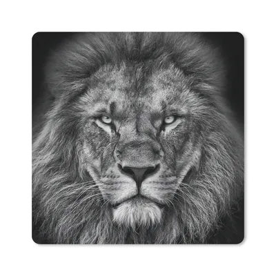 Produktbild von MuchoWow® Mauspad Mousepad Tiere - Löwe - Schwarz - Weiß - Porträt 30x30 cm - Mousepads - Maus Mat - Pad - Mausunterlage - Gaming