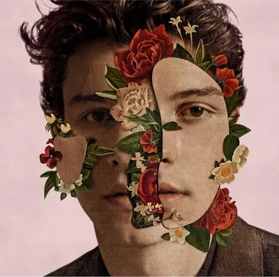 Productafbeelding van Shawn Mendes